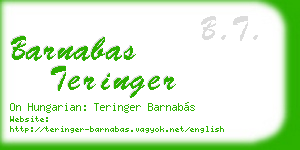 barnabas teringer business card